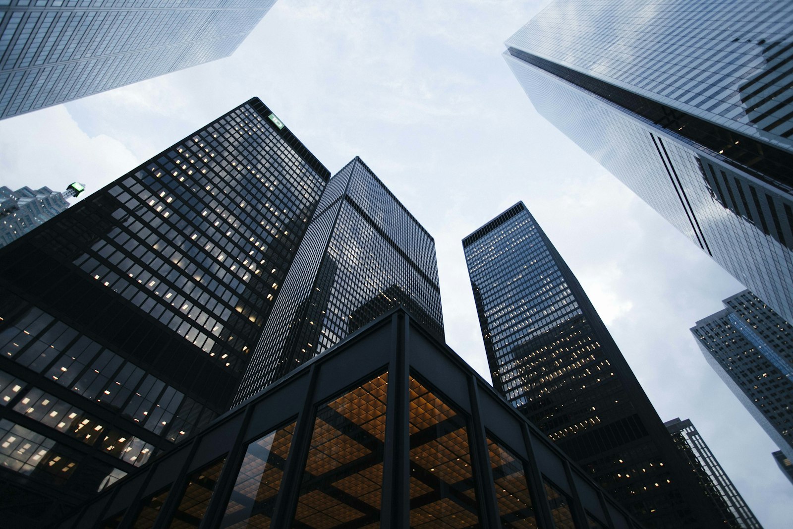 Professional consultancy environment